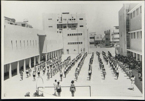 Gymnastique, école mixte de Haïfa, juillet 1937